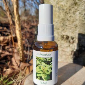 Brandnetel