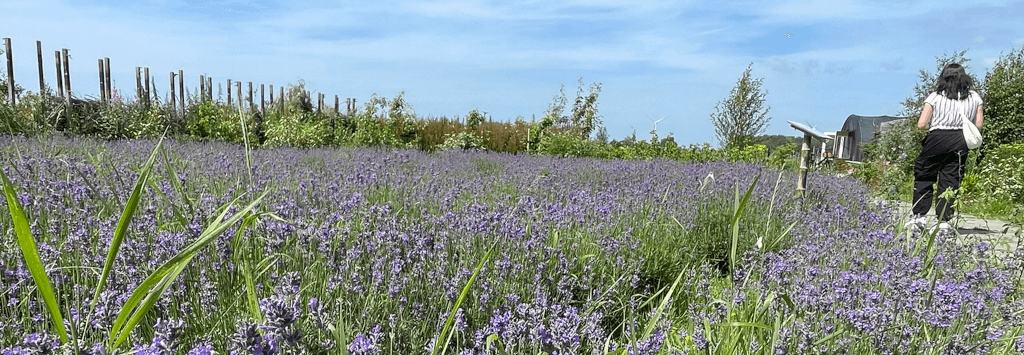 Voedselbos Hazerswoude-Dorp