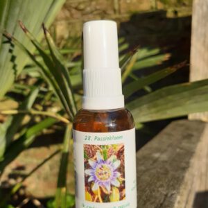 Passiebloem