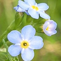 IMG-20260208-WA0035 IMG-20260208-WA0035